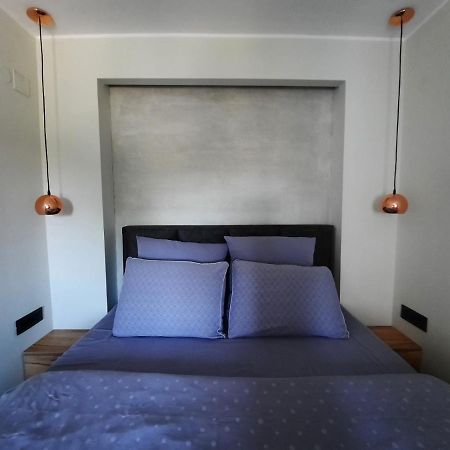 Apartment Pleasure Lux نوفي ساد المظهر الخارجي الصورة
